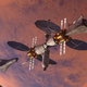 Diseño de estación orbital para Marte.